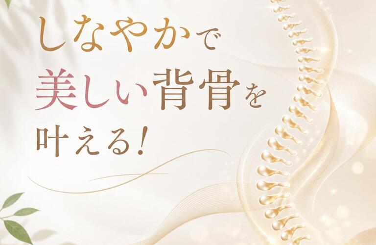 しなやかで美しい背骨を叶える！